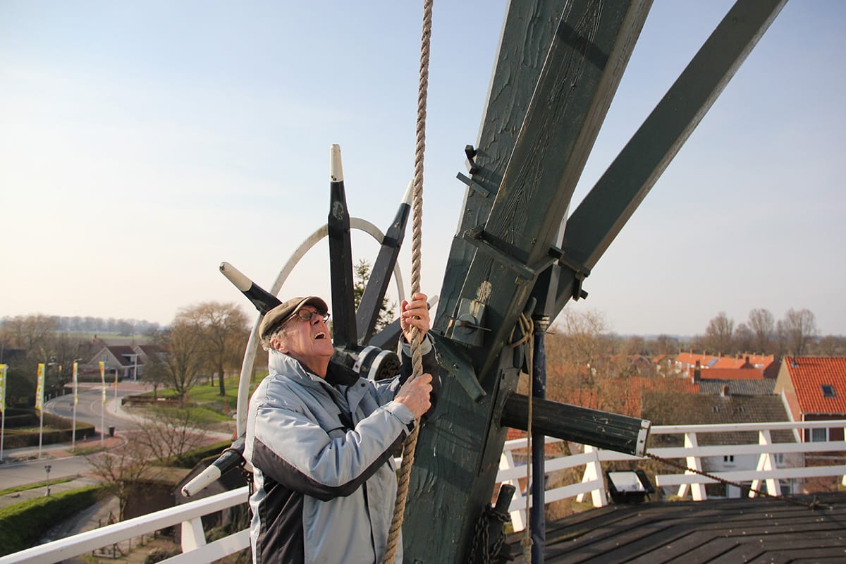 De molenaar zet de wieken van De Witte Juffer in de wind
